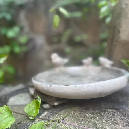 Lisiacik Сasa de vacaciones