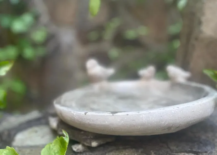 Lisiacik Holiday home